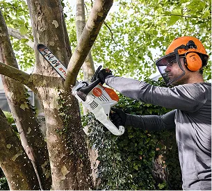 Homme portant un casque de sécurité, des lunettes et des protecteurs auditifs, taillant une branche d'arbre avec une tronçonneuse à Brûlon dans la Sarthe 72